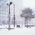 20050202_0932_000.jpg