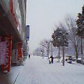 20050216_0946_000.jpg